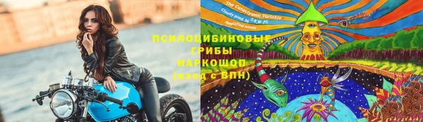прущая мука Гусев