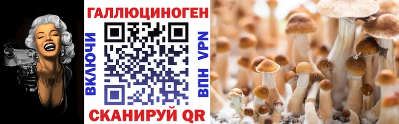 как найти закладки  Каневская  Галлюциногенные грибы GOLDEN TEACHER 